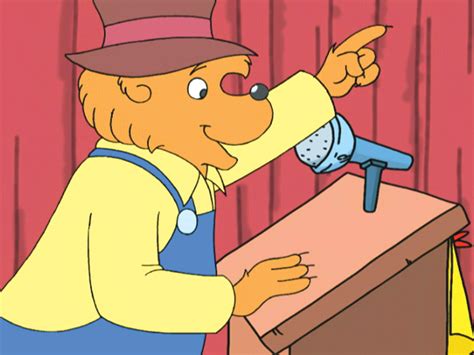 berenstain bears video|More.